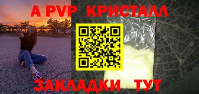 индика Новодвинск