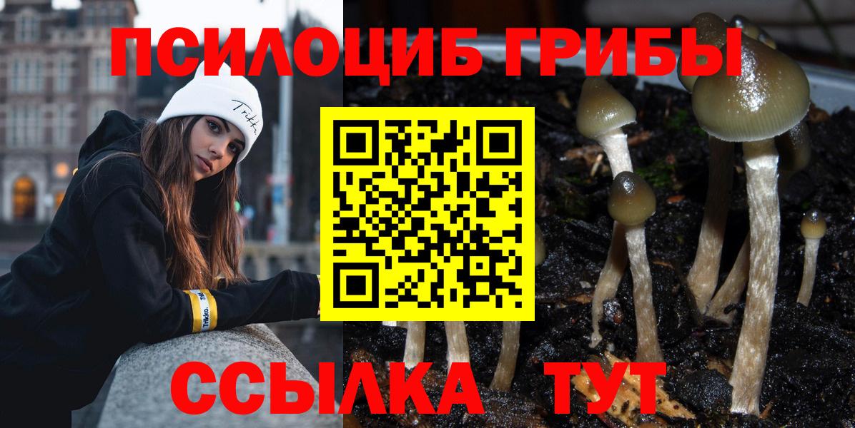Галлюциногенные грибы Psilocybe  Галлюциногенные грибы MAGIC MUSHROOMS  Вход с VPN  Анапа 